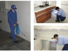 阜新彰武開荒保潔公司 室內環境檢測與治理的全面守護